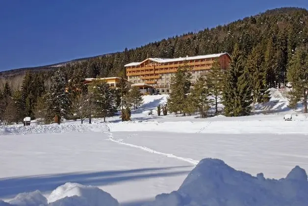 Hotel Partizán - 1