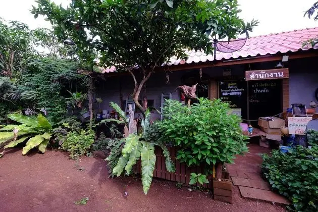 Pasak Resort Sawang Dandin - Lobi