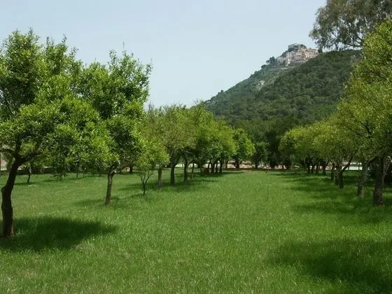 Villa Passarelli - Dış Mekan