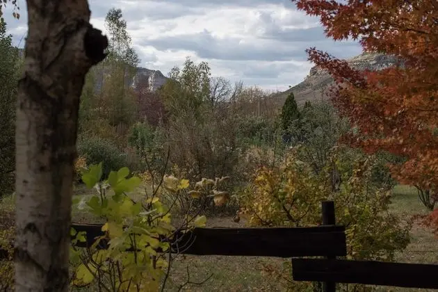 Patcham Place B&B - Dış Mekan