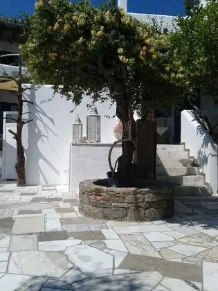 Patriko - Dış Mekan
