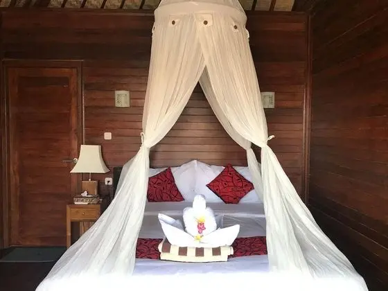 Pattri Garden Lembongan - Oda