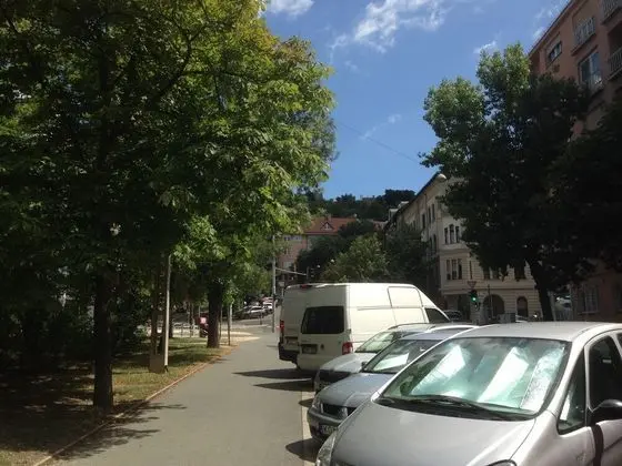 Pauler19 Apartement