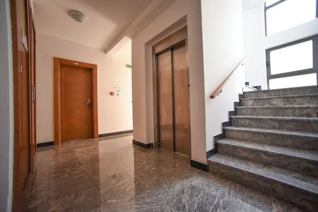 Hotel Paun - Lobi