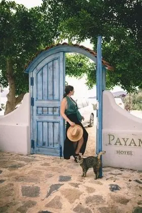 Payam Hotel - Plaj