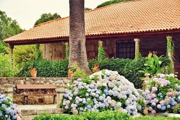 Pazo Revel Hotel & Resort - Dış Mekan