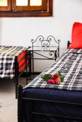 Peace Hostel - Adults Only - Oda