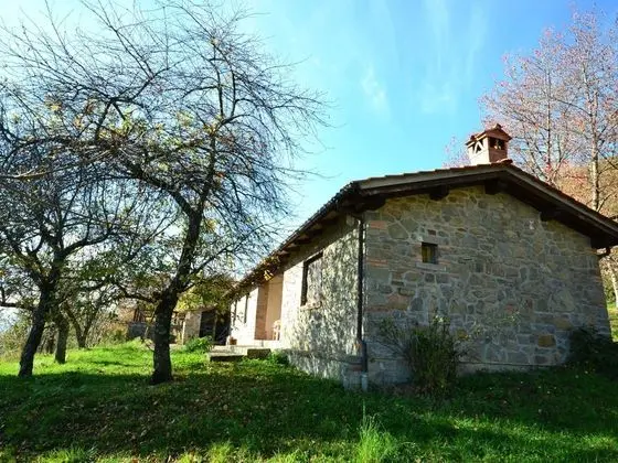 Peaceful Chalet With Private Pool - Dış Mekan