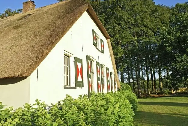 Peaceful Farmhouse in Doorn near Forest - Dış Mekan