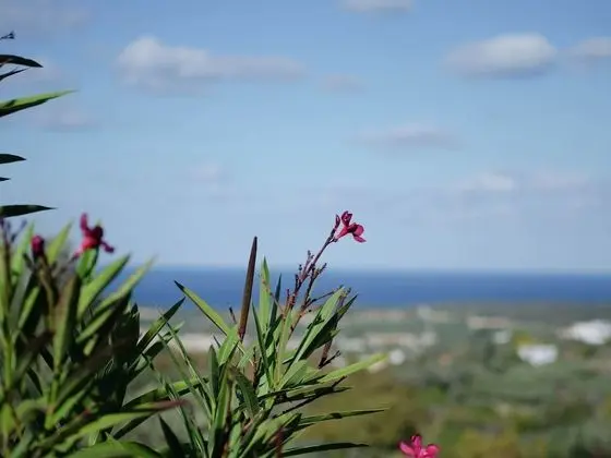 Peaceful Holiday Home in Agia Triada With Swimming Pool