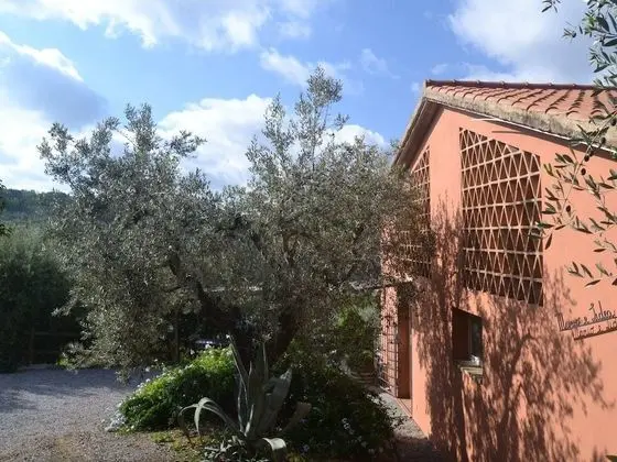 Peaceful Holiday Home in Castagneto Carducci With Garden