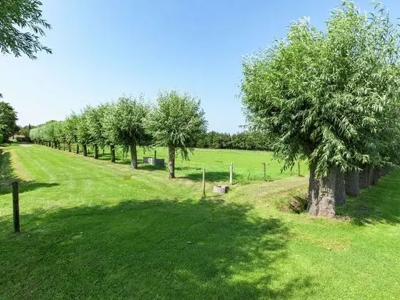 Peaceful Holiday Home near Center in Burgh Haamstede - Dış Mekan