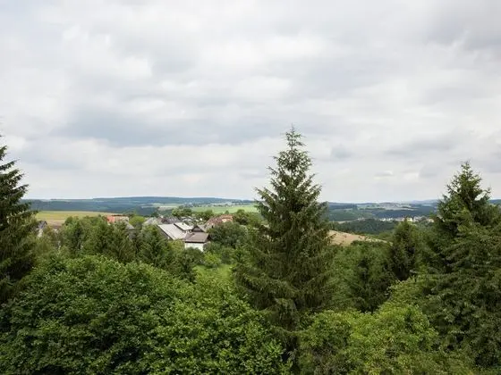 Peaceful Holiday Home in Rascheid near Forest - Genel