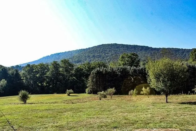 Peaceful Pine Lodge Right On Pine Creek