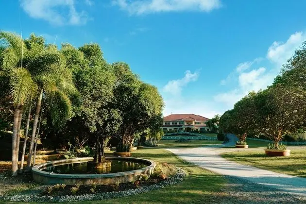 The Peacock Garden - Dış Mekan