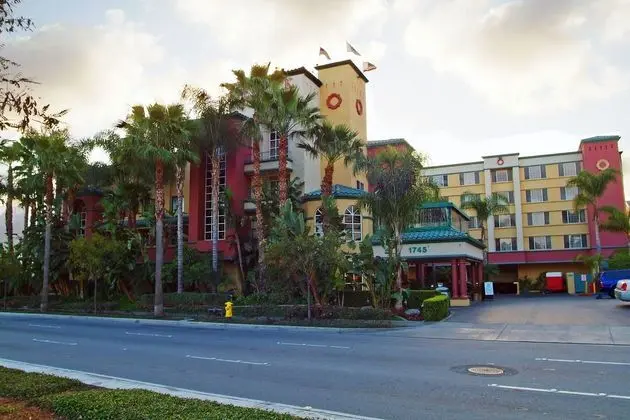 Peacock Suites - Genel