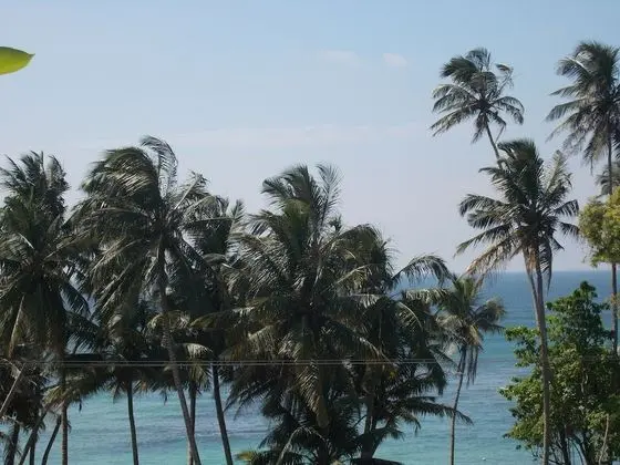 Peacock Wings Guest House