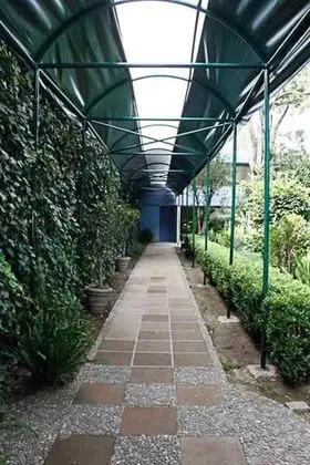 Hotel Pedregal Palace - Dış Mekan