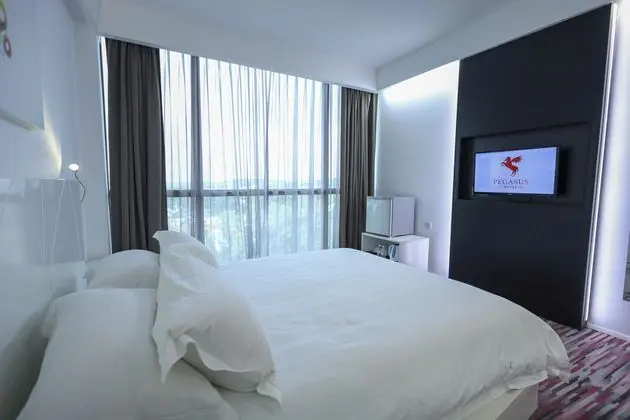 PEGASUS HOTEL