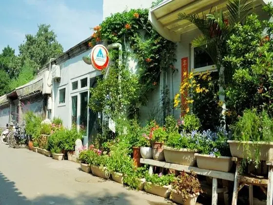 PEKING INTERNATIONAL YOUTH HOSTEL