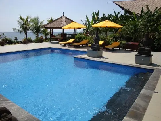 Villa Pelangi Bali - Havuz