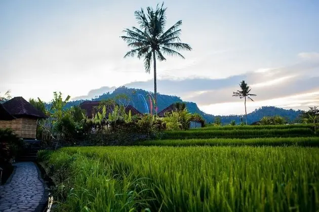 Pelangi Villas Sidemen