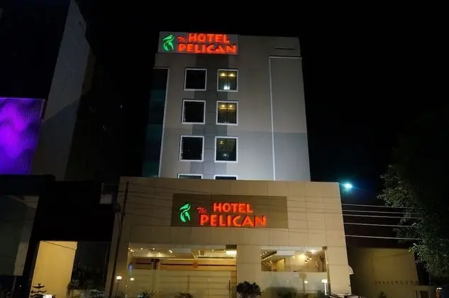 The Pelican