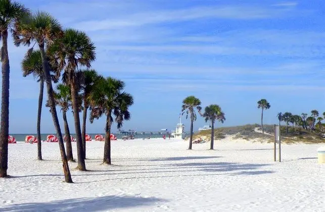 Pelican Pointe - Genel