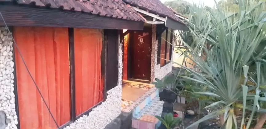 Penginapan BoB Home