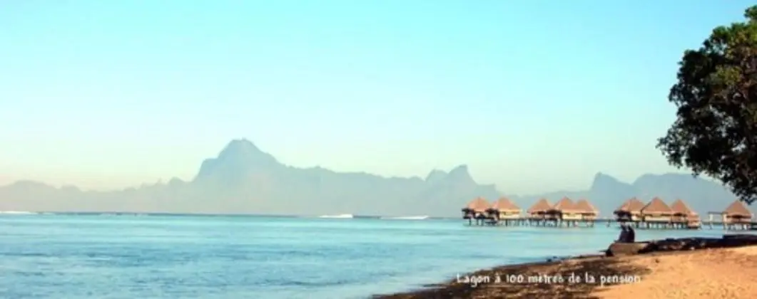 Pension de la Plage - Plaj