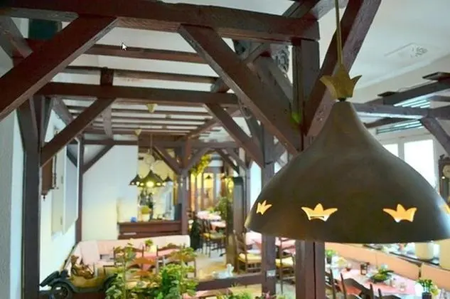 Pension Dessauer Hof - Yerinde Yemek