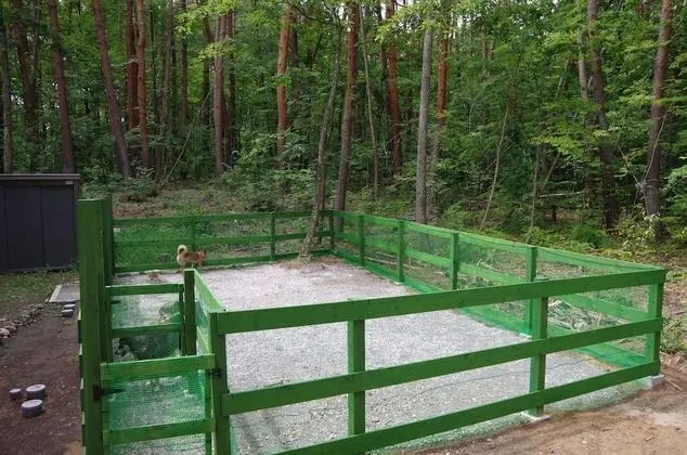 Pension for Dog Owners Oyado Tantan - Evcil Hayvanlar
