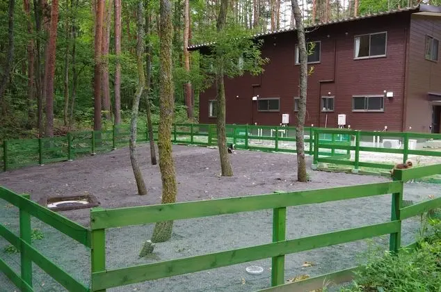 Pension for Dog Owners Oyado Tantan - Evcil Hayvanlar