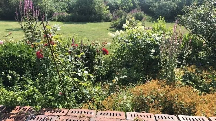 Pension Ferienwohnung Hillrichshof - Konum Öne Çıkanlar