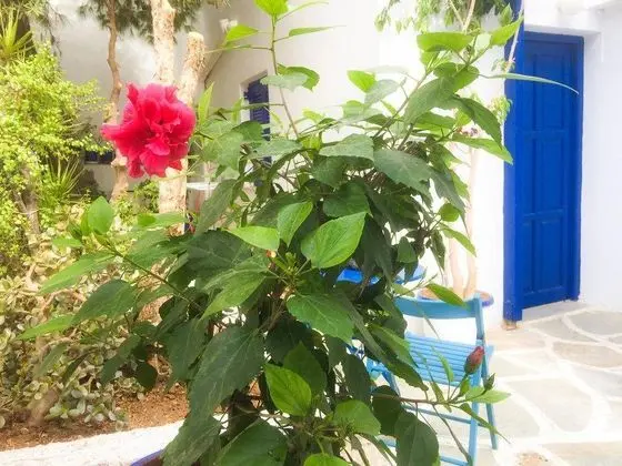 Pension Villa Galini