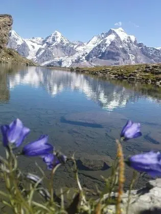 Pension Gimmelwald - Genel