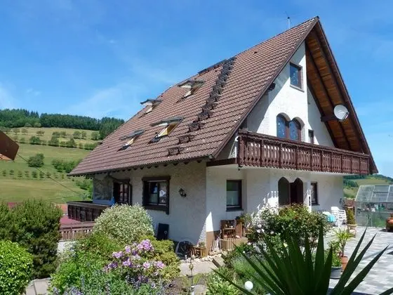 Pension Himmelsbach Steinach - 1