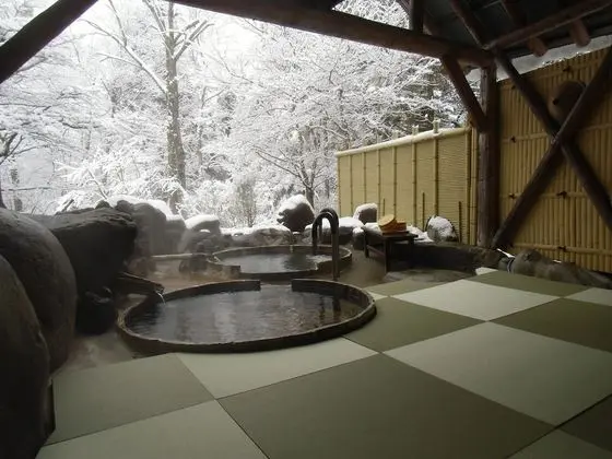 Pension HoNoMi-Tei - Havuz