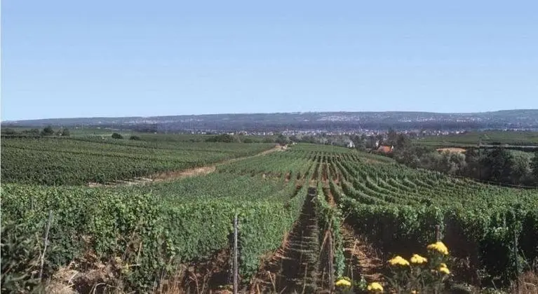 Pension Kühns Mühle