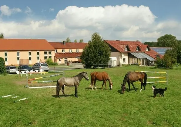 Pension Lindenhof Drabsch