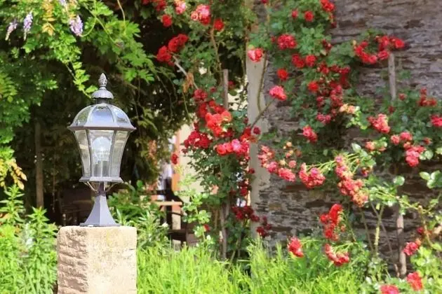 Pension Martinerhof - Dış Mekan