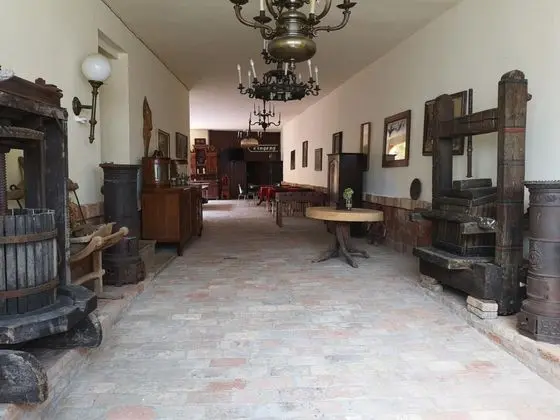 Pension MATE - Lobi