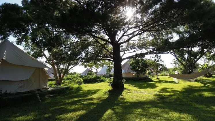 Pension Prussian Blue - Campsite