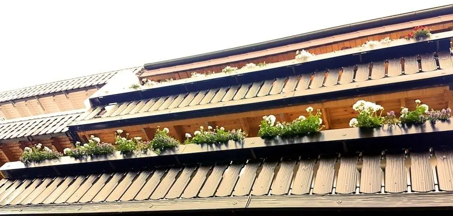Pension Silberburg Bad Wildbad - Dış Mekan
