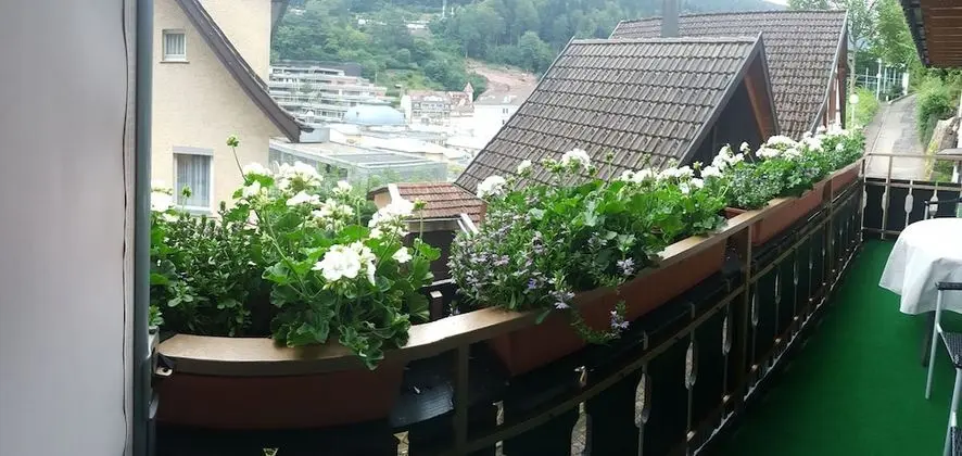 Pension Silberburg Bad Wildbad - Oda Düzeni