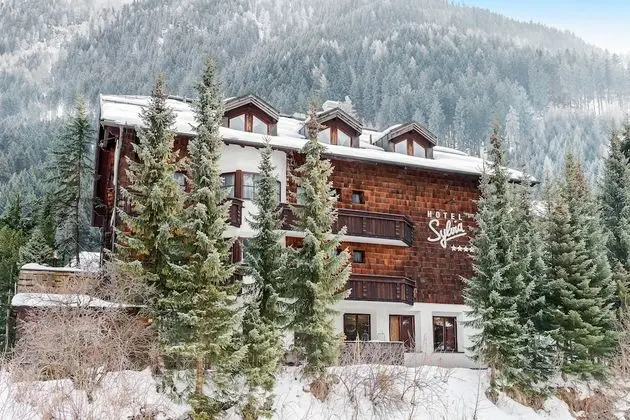 Pension Sylvia by Skinetworks