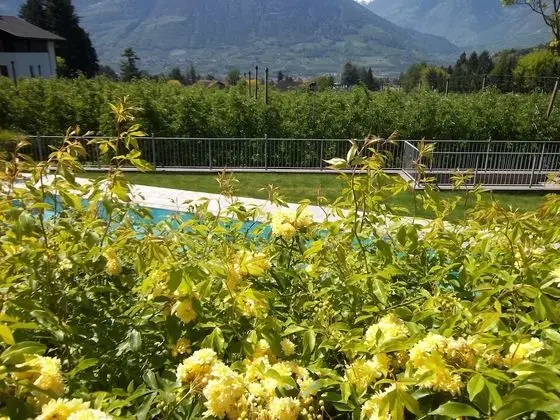Hotel Pension Verdorfer - Dış Mekan