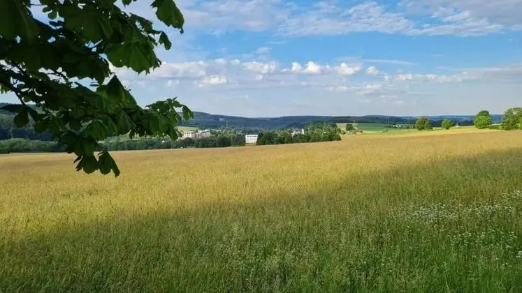 Pension Wernesgrün - Genel