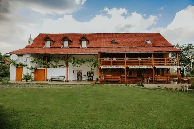 Pensiunea Bio Haus - 1