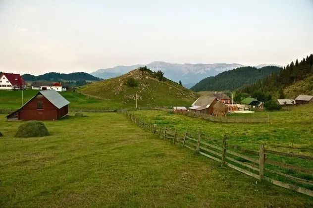 Pensiunea Padina Ursului